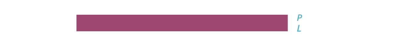 Programming Languages Section