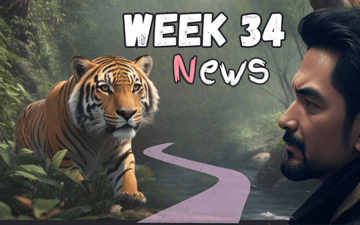 week 34 news 2023