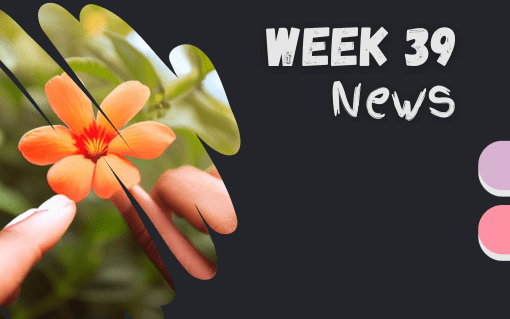 week 39 news 2023